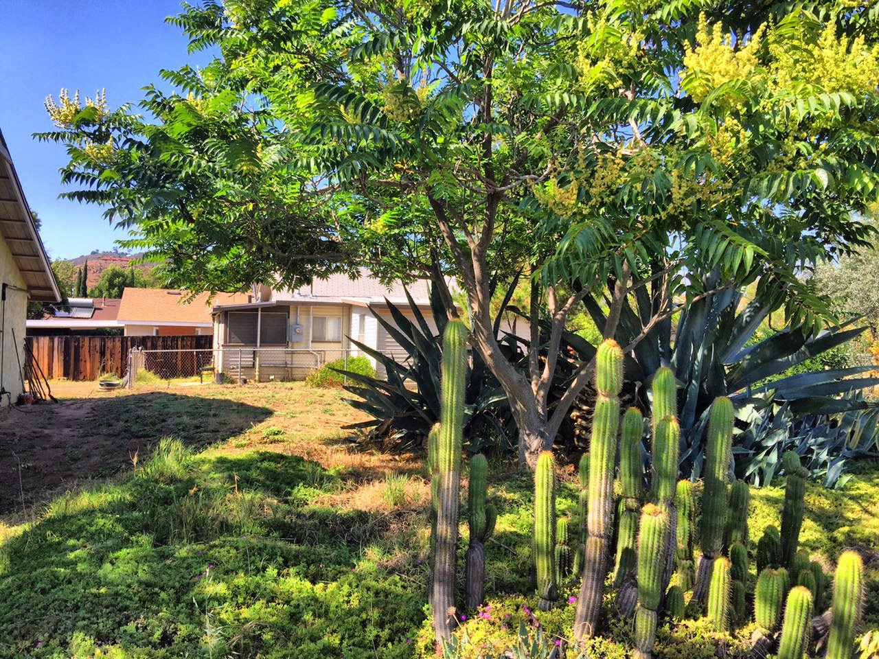 1198 Sumner, El Cajon, CA 92021 photo 2