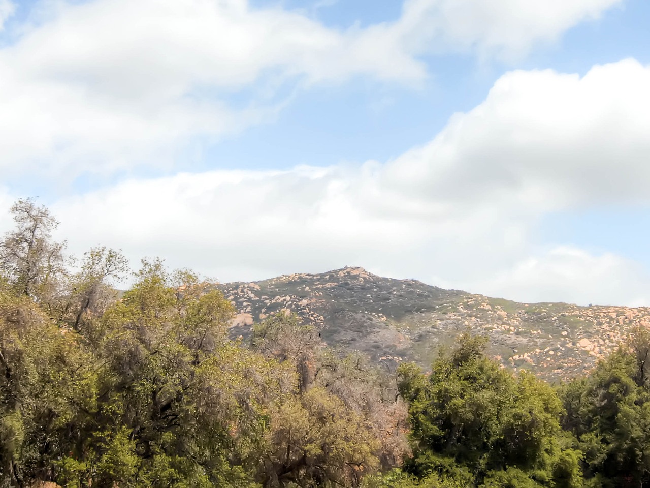 19540 Elena Ln, Jamul, CA 91935 photo 25