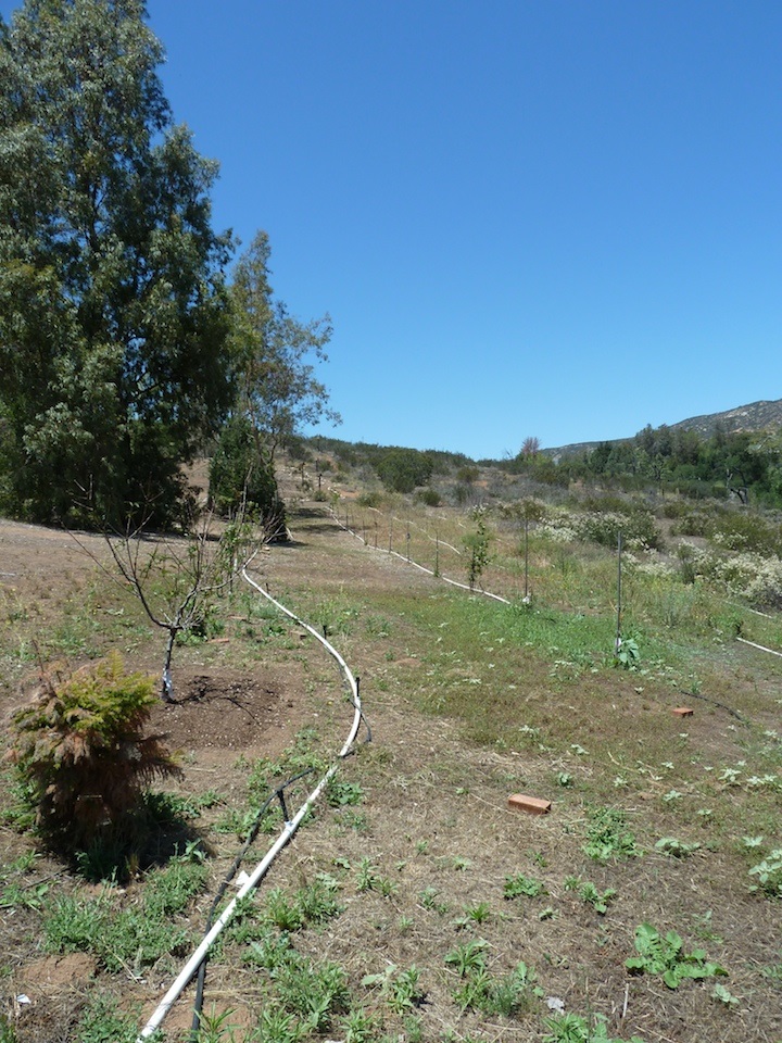 1510 Peutz Vly, Alpine, CA 91901 photo 16