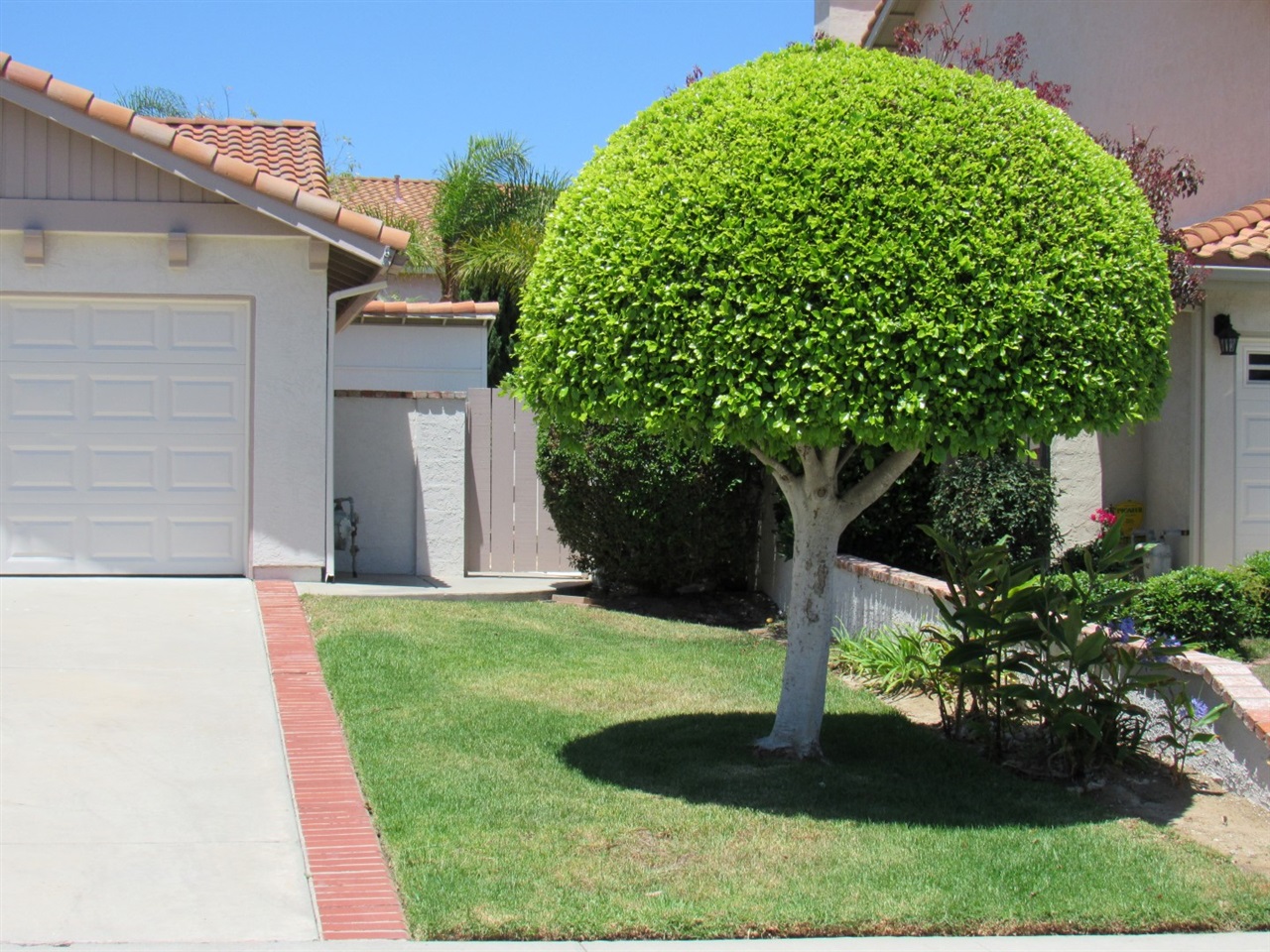 2748 Berkeley Ave, Carlsbad, CA 92010 photo 24