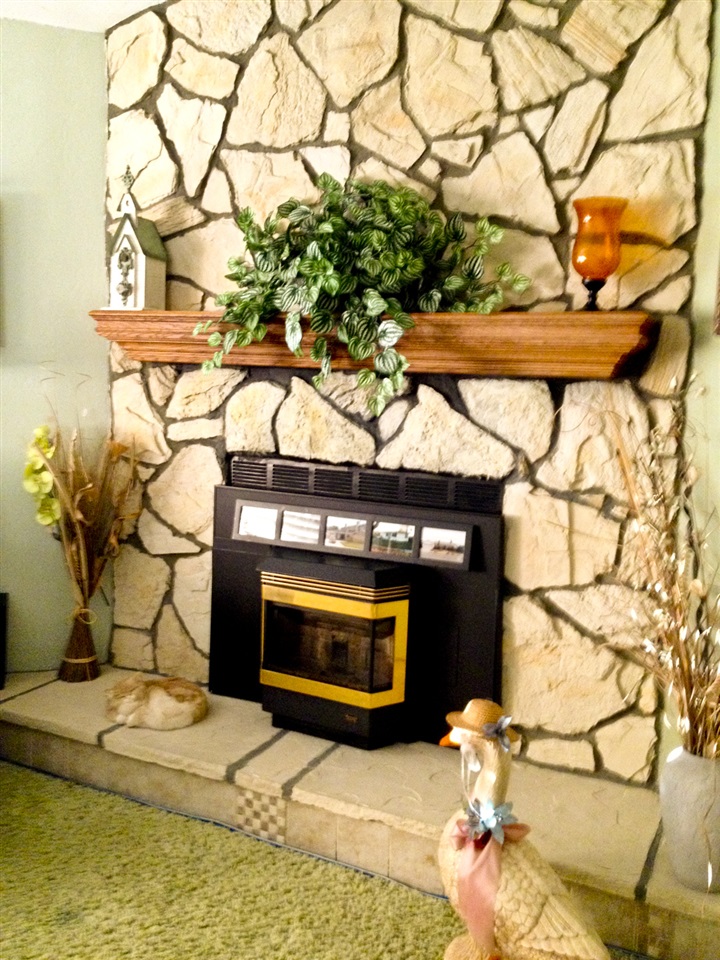  3479 Don Alberto Dr, Carlsbad, CA 92010 photo 3