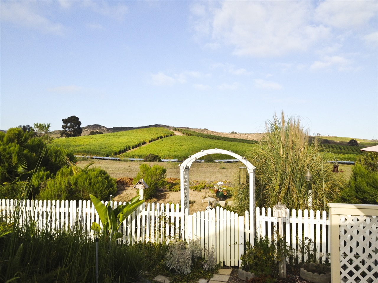  3479 Don Alberto Dr, Carlsbad, CA 92010 photo 11