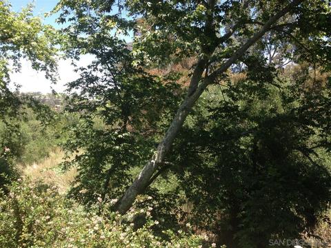 3034 Via De Caballo, Encinitas, CA 92024 photo 20