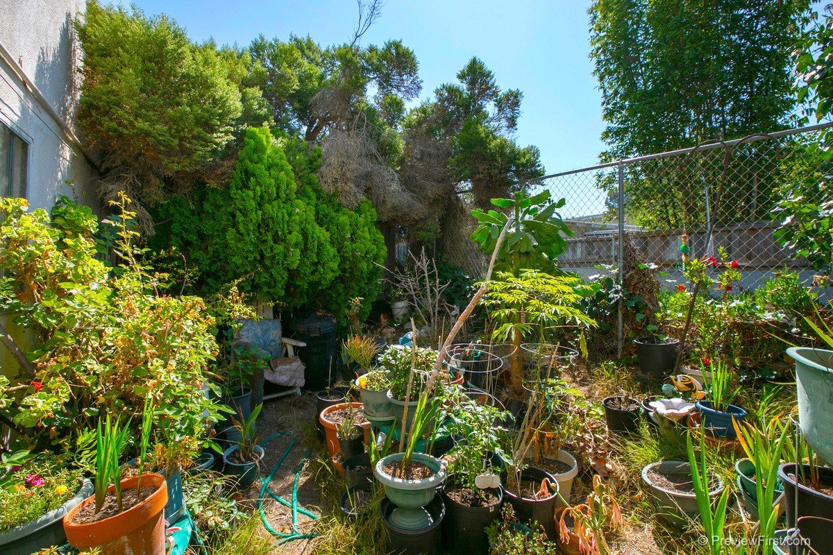 1403 Hermes Ave, Encinitas, CA 92024 photo 9