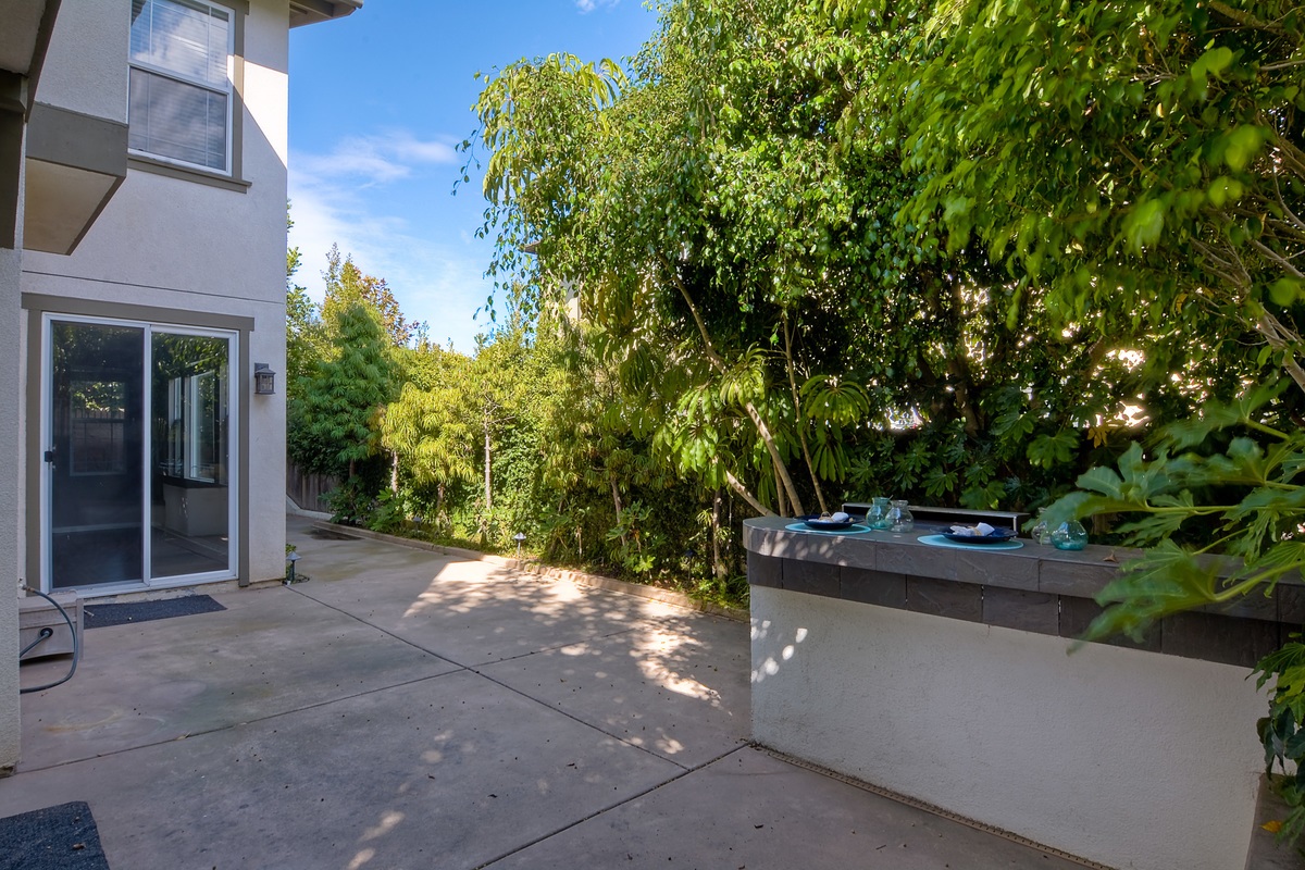 612 Sand Shell Ave, Carlsbad, CA 92011 photo 18