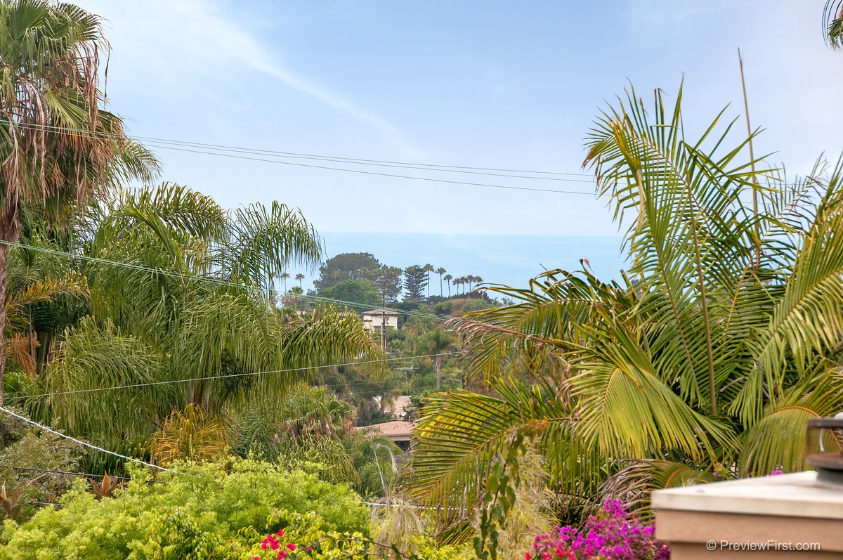 711 Passiflora Ave, Encinitas, CA 92024 photo 21