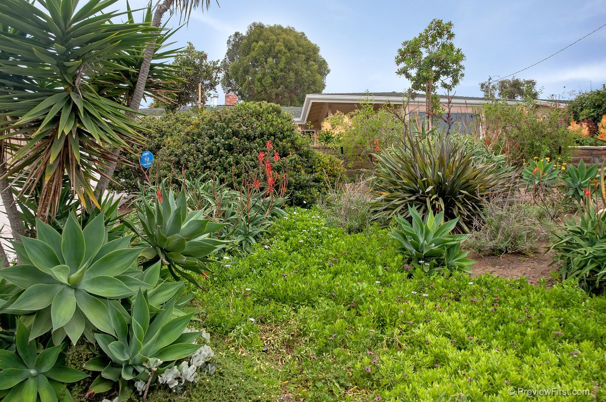 711 Passiflora Ave, Encinitas, CA 92024 photo 4