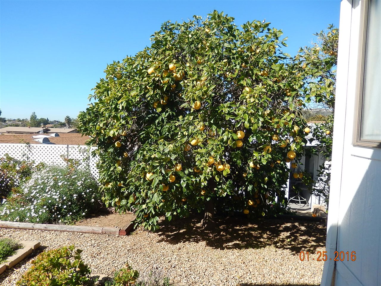 1625 Desert Gln, Escondido, CA 92026 photo 23