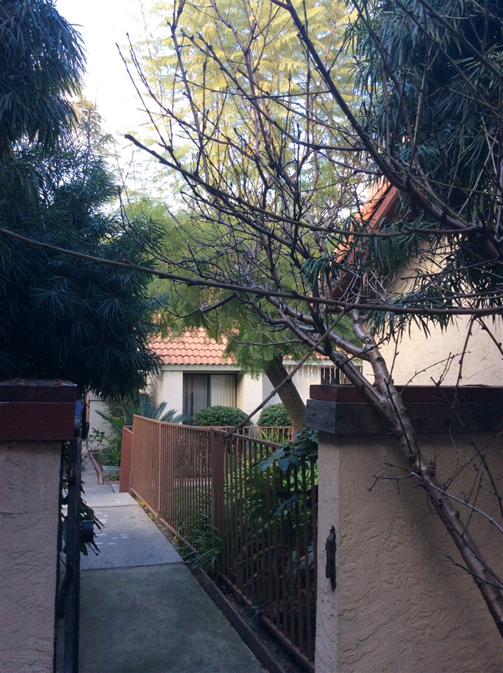 145 Avenida Las Brisas, Oceanside, CA 92057 photo 8