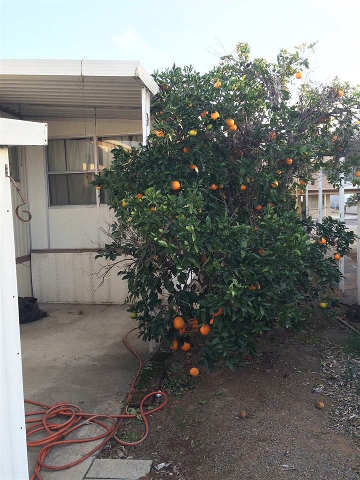 1285 E Washington St #25, El Cajon, CA 92019 photo 12