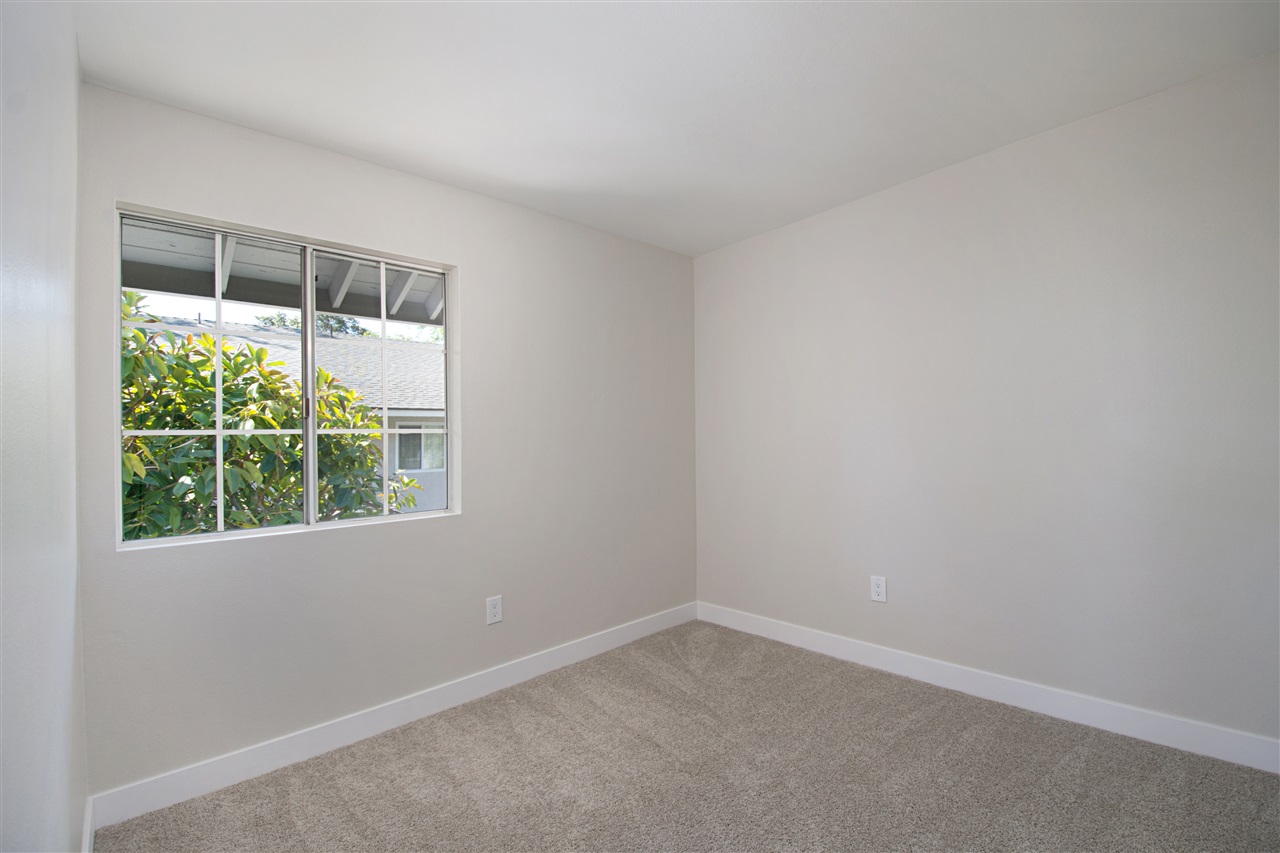 3736 Lenox Ct, Carlsbad, CA 92010 photo 19