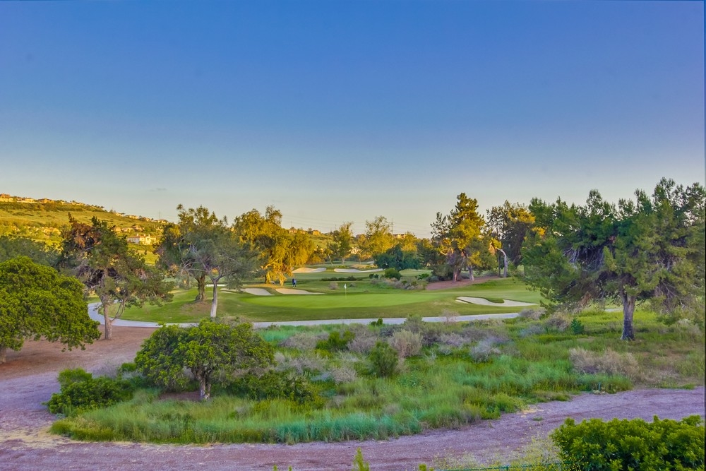 3080 Paseo Estribo, Carlsbad, CA 92009 photo 20