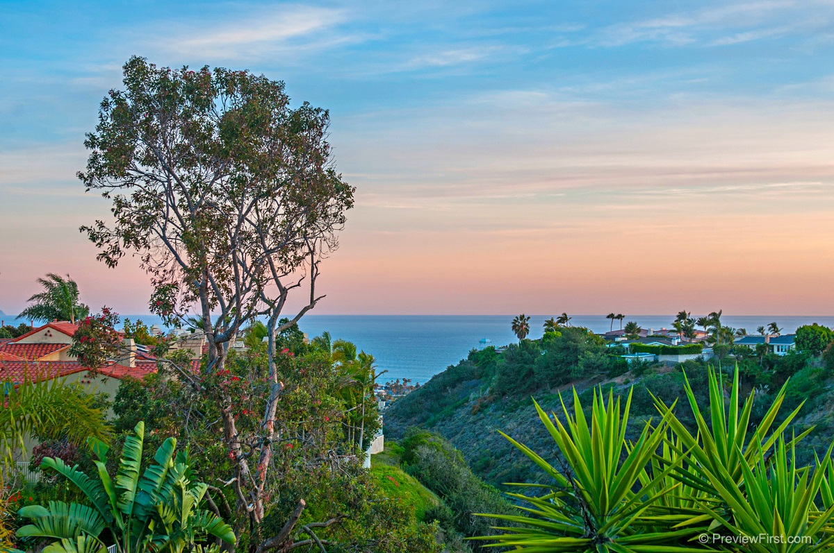 1512 Caminito Solidago, La Jolla, CA 92037 photo 20