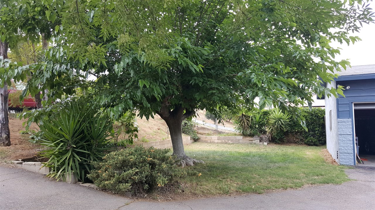 9061 Kay Jay Ln, Lakeside, CA 92040 photo 2