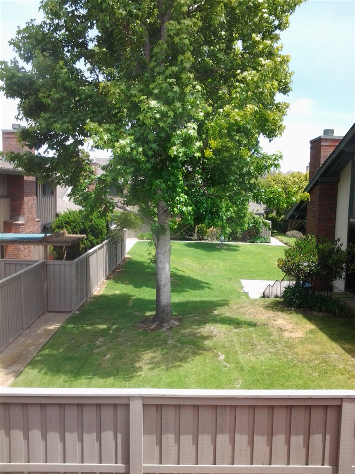8233 Via Mallorca, La Jolla, CA 92037 photo 18
