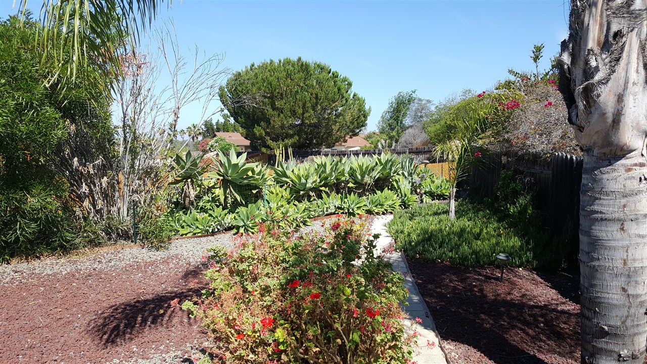 1393 Peacock Blvd, Oceanside, CA 92056 photo 4