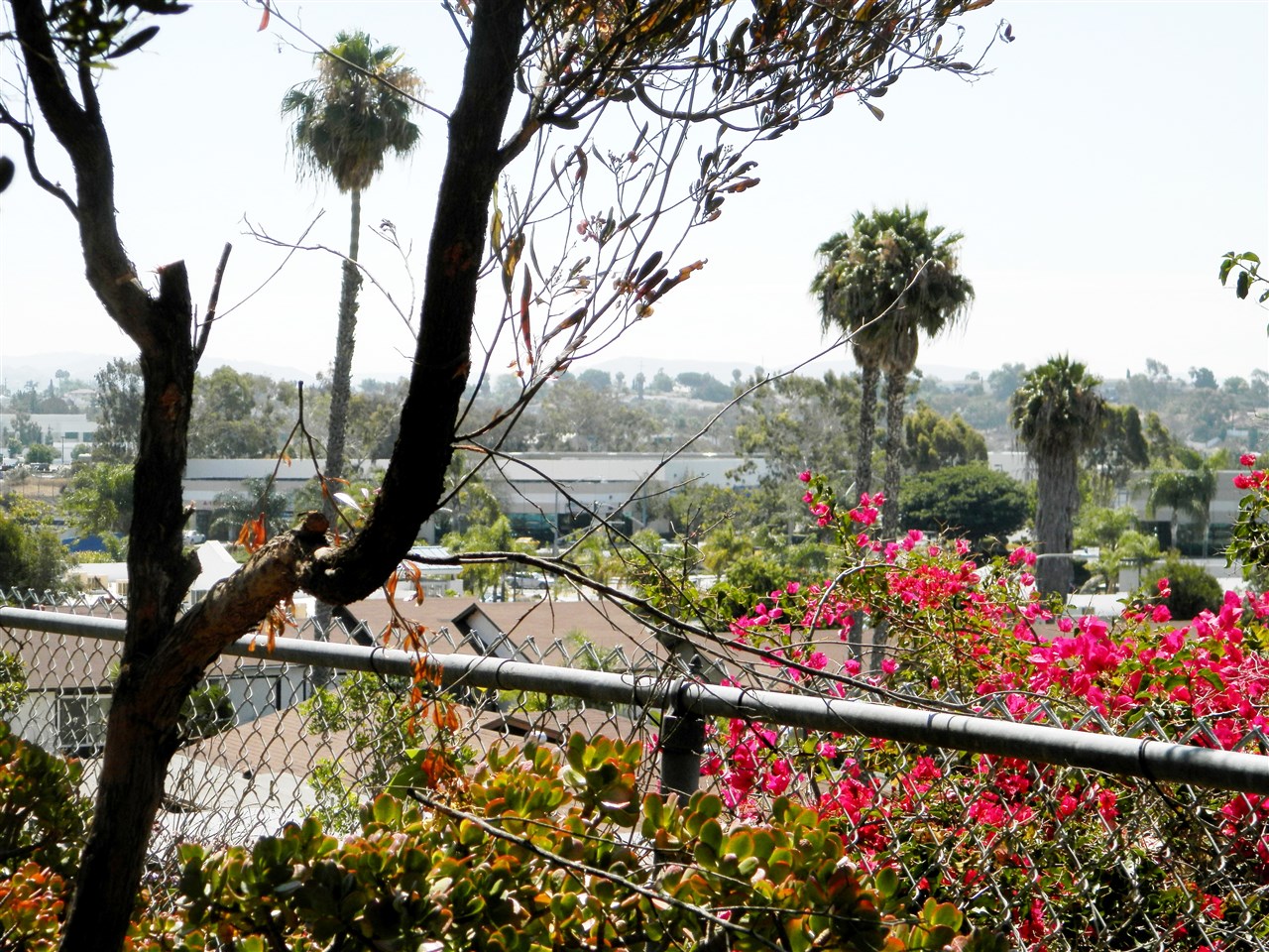 4749 Rising Glen Dr, Oceanside, CA 92057 photo 25