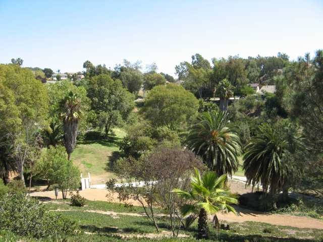 1361 Evergreen, Cardiff, CA 92007 photo 24