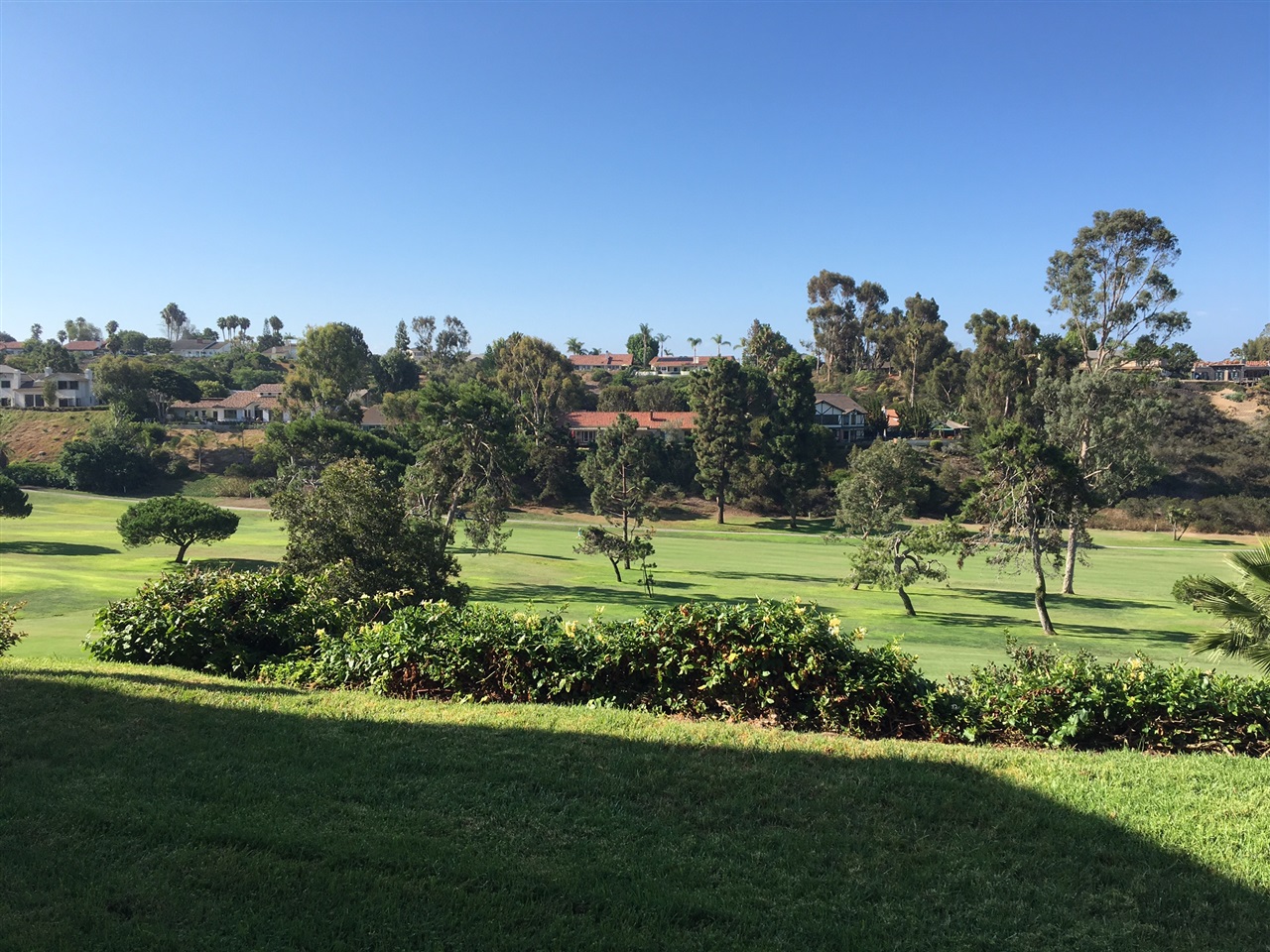 1423 Sun Vly, Solana Beach, CA 92075 photo 1