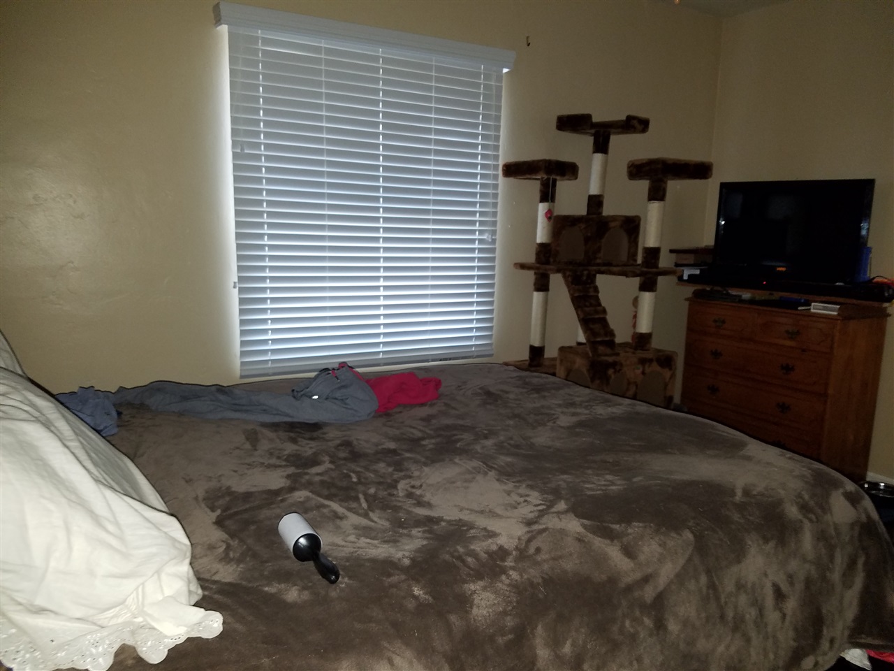 1690 Skyline Dr, Lemon Grove, CA 91945 photo 6