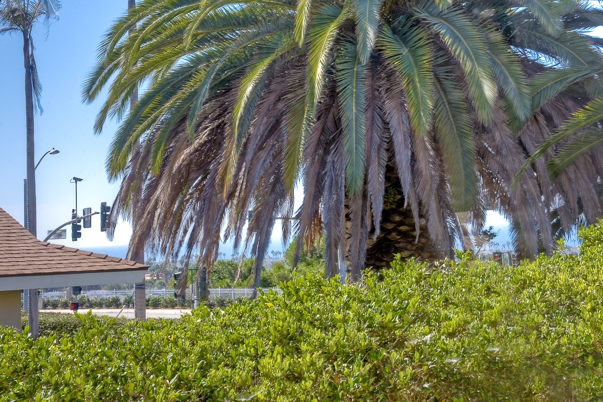 Undisclosed, Carlsbad, CA 92011 photo 25