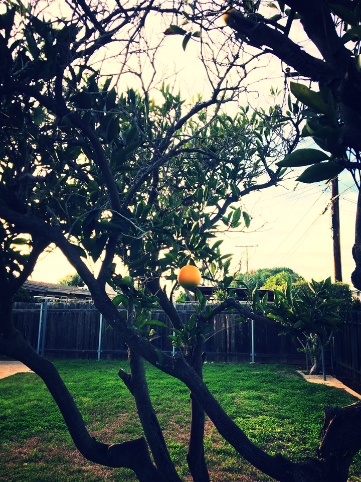 8616 Eames St, San Diego, CA 92123 photo 4