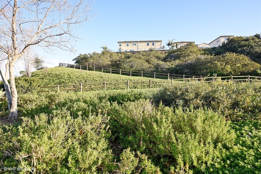 7323 Paseo Capuchina, Carlsbad, CA 92009 photo 23