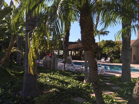 1333 Olive Ave #64, Vista, CA 92083 photo 7