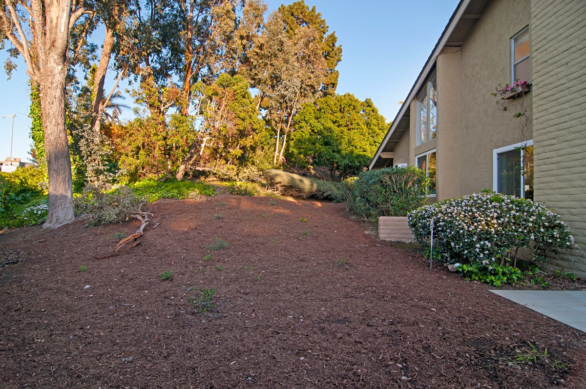 5656 Caminito Estima, La Jolla, CA 92037 photo 20