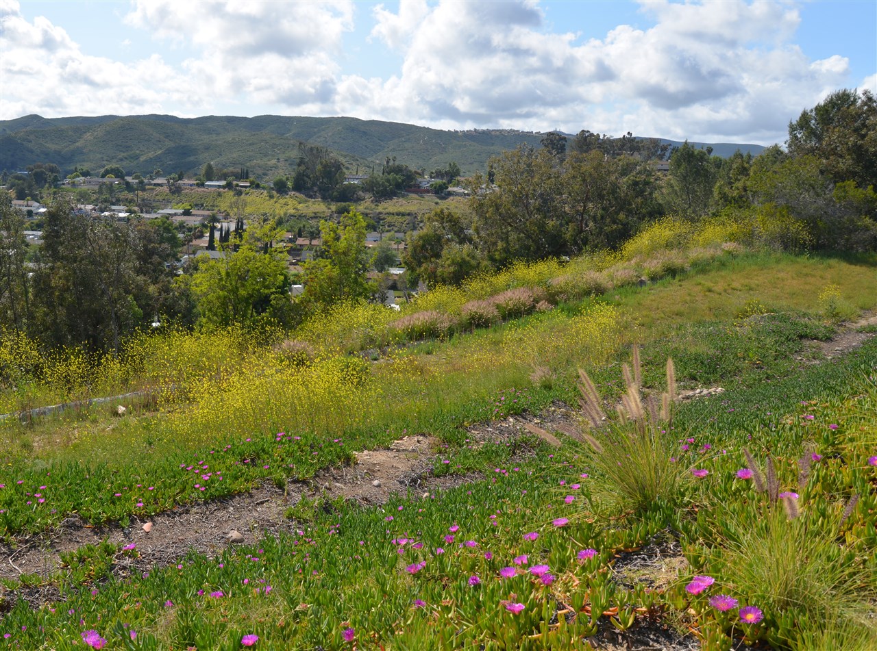 12936 Cree Dr, Poway, CA 92064 photo 19