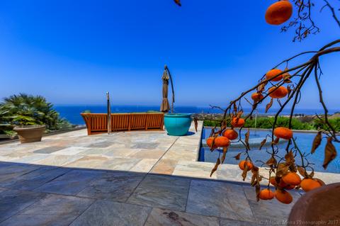 832 La Jolla Rancho, La Jolla, CA 92037 photo 7