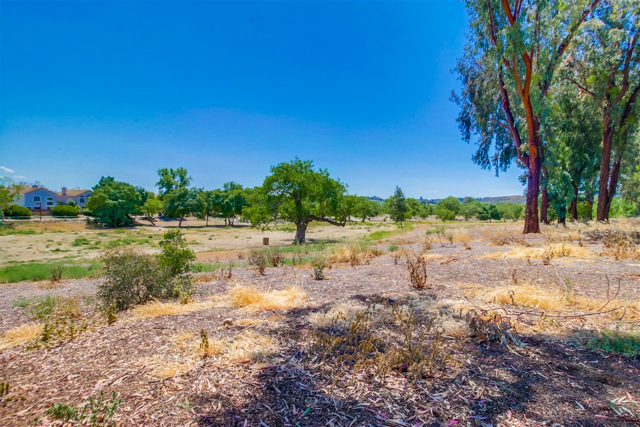 9439 Carlton Oaks Drive B, Santee, CA 92071 photo 17