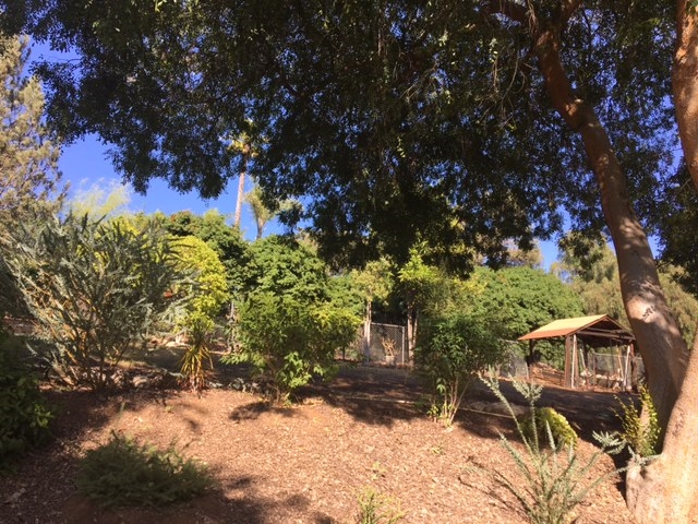 2026 Canta Lomas, El Cajon, CA 92019 photo 6