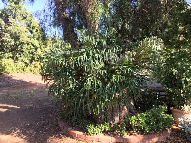 2026 Canta Lomas, El Cajon, CA 92019 photo 7