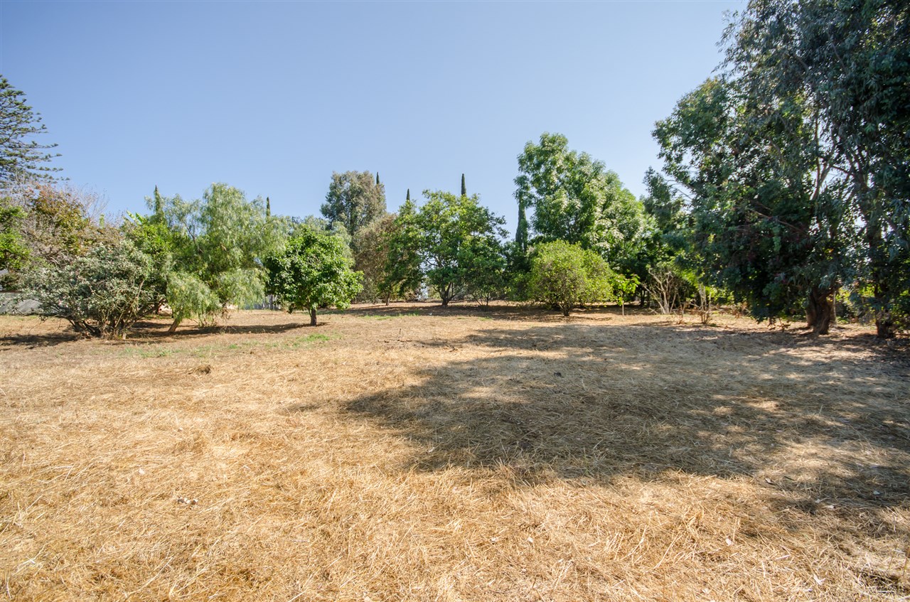 320 N Stage Coach Ln, Fallbrook, CA 92028 photo 23