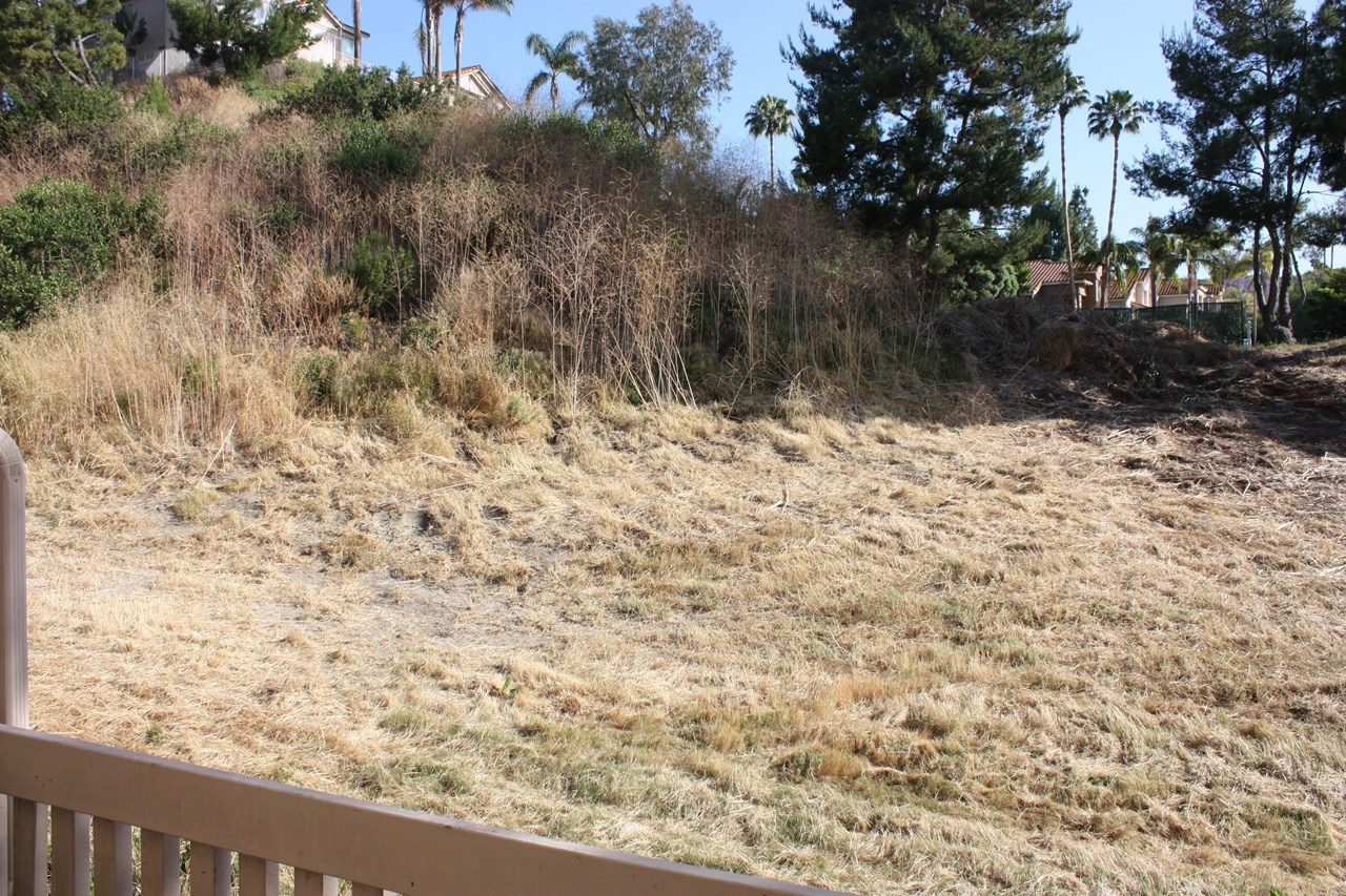 2352 Altisma Way #18, Carlsbad, CA 92009 photo 17