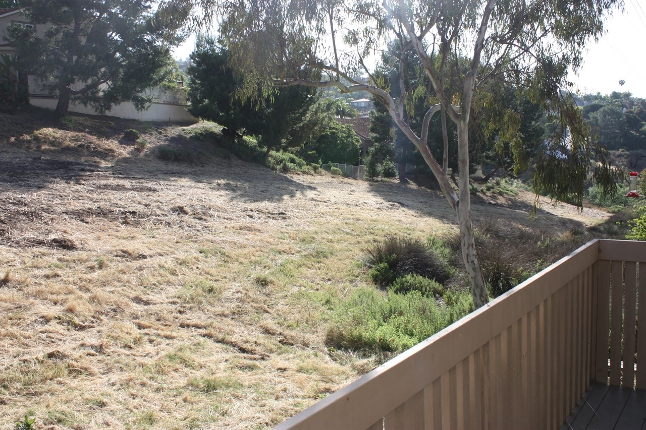 2352 Altisma Way #18, Carlsbad, CA 92009 photo 16
