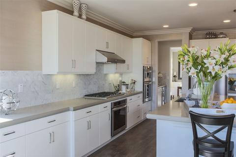 1501 Leonis Pl, Vista, CA 92083 photo 8