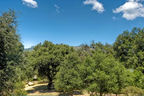28803 Old Highway 80, Pine Valley, CA 91962 photo 20