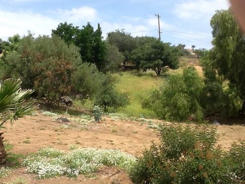 1859 Ridgecrest Ter, El Cajon, CA 92021 photo 16
