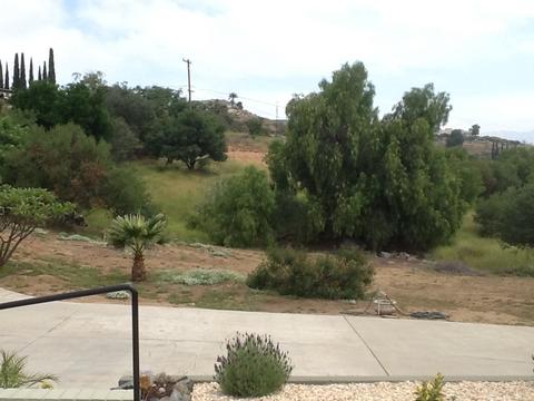 1859 Ridgecrest Ter, El Cajon, CA 92021 photo 4