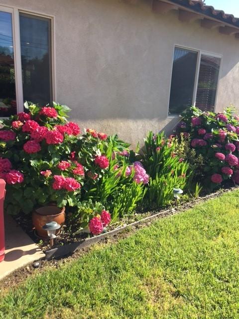 321 Womack, Fallbrook, CA 92028 photo 14