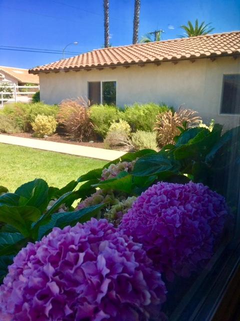 321 Womack, Fallbrook, CA 92028 photo 24