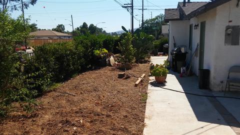 524 E Lincoln Ave, Escondido, CA 92026 photo 6