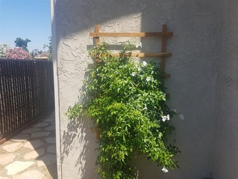 1456 Realty Rd, Ramona, CA 92065 photo 4