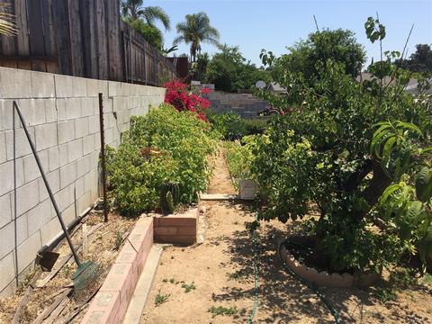 9230 Carita Rd, Santee, CA 92071 photo 6