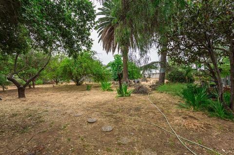 655 E Alvarado St, Fallbrook, CA 92028 photo 25