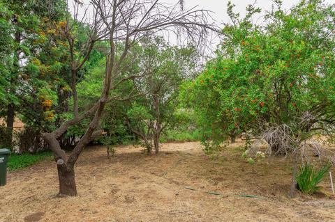 655 E Alvarado St, Fallbrook, CA 92028 photo 23