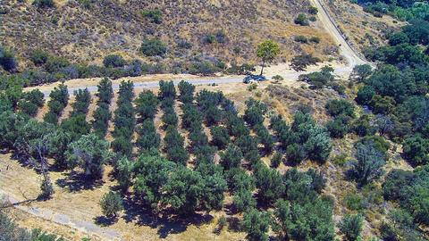 4427 Model A Ford Ln, El Cajon, CA 92019 photo 8