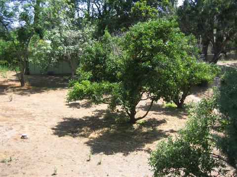 11241 Rolling Hills Dr, El Cajon, CA 92020 photo 24